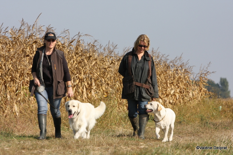 Field Erstein 09 (38).JPG